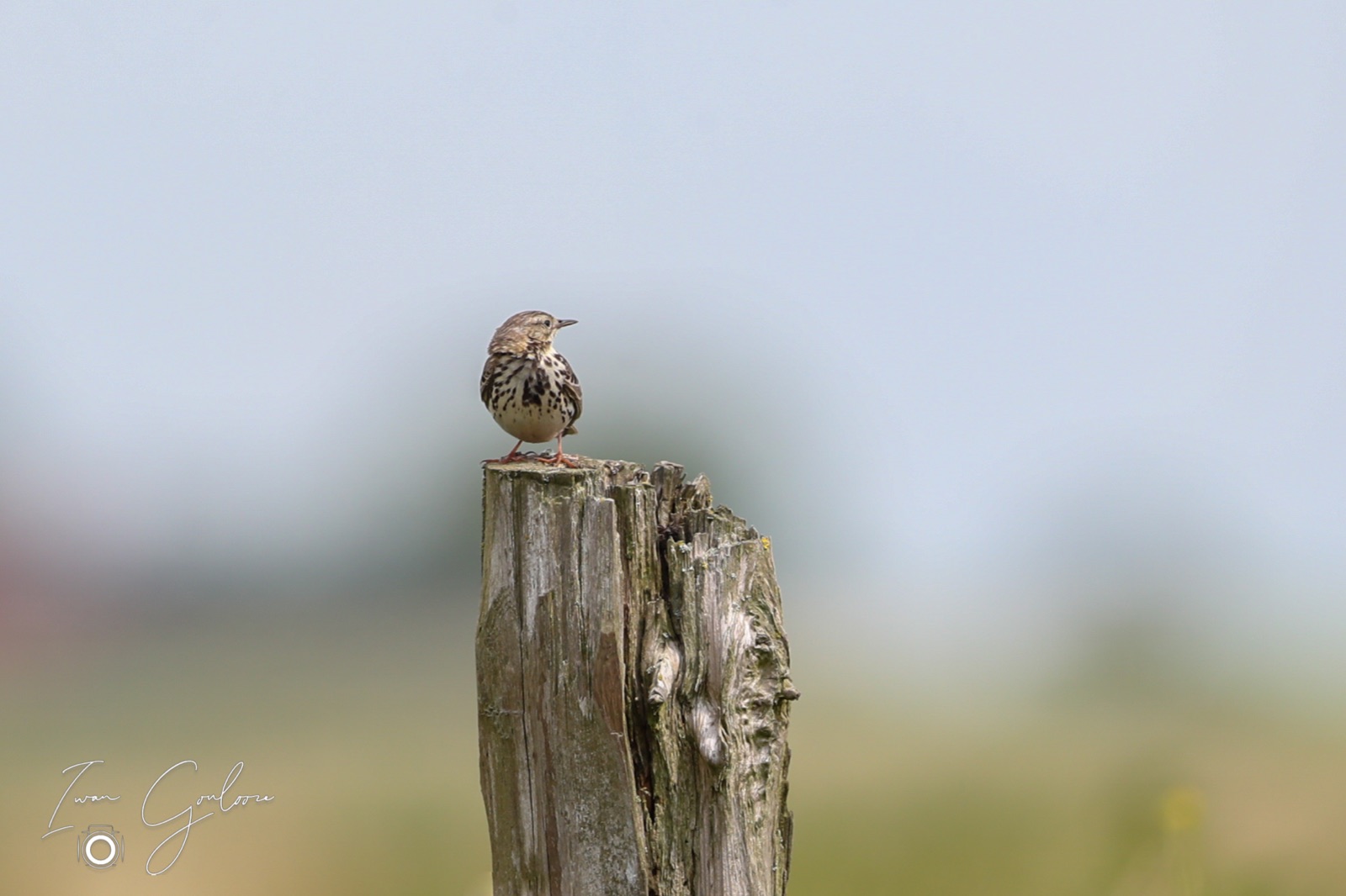 10 juni 2022 121513 1DX46907